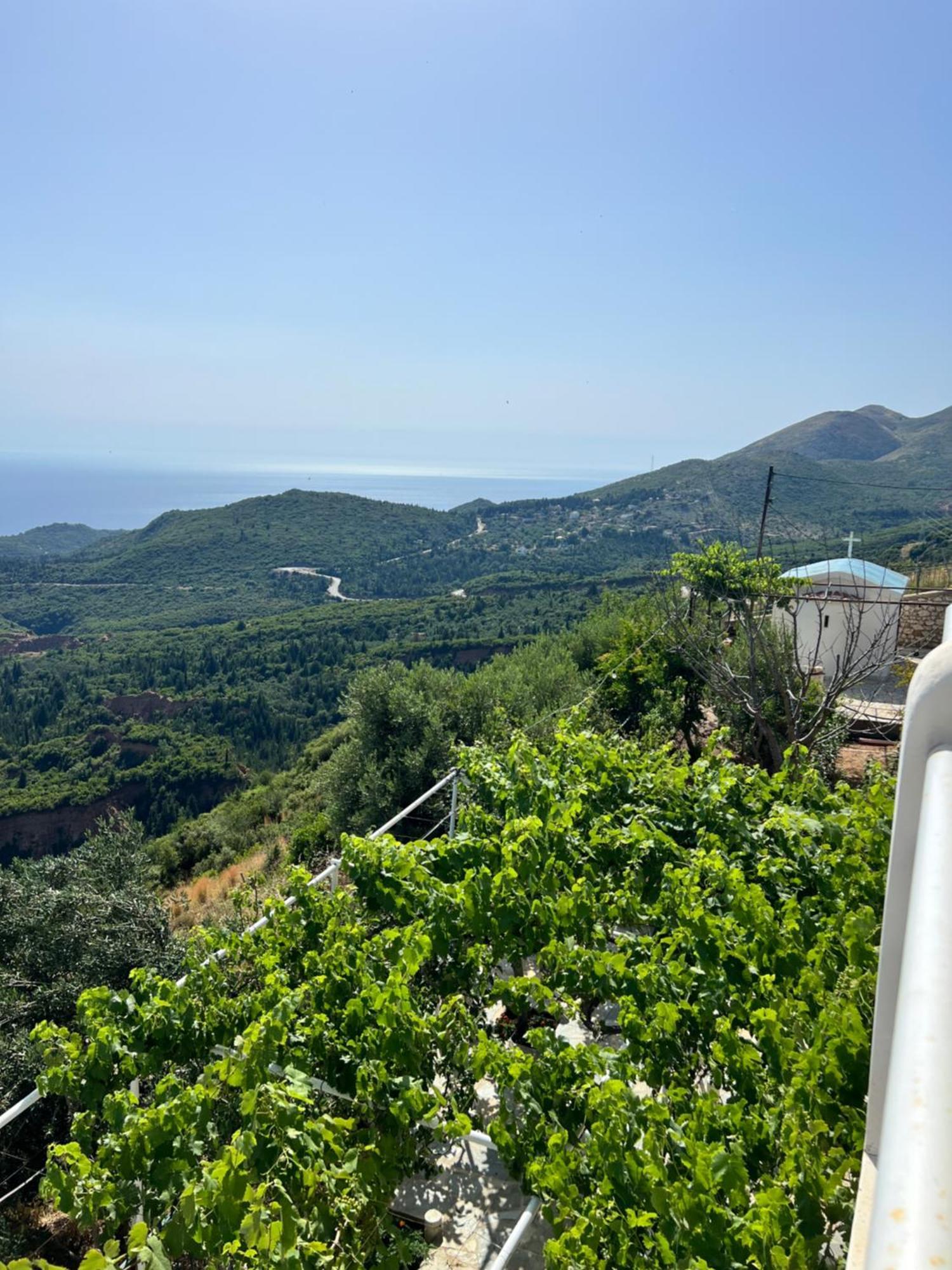 Villa Filip Vuno Bagian luar foto
